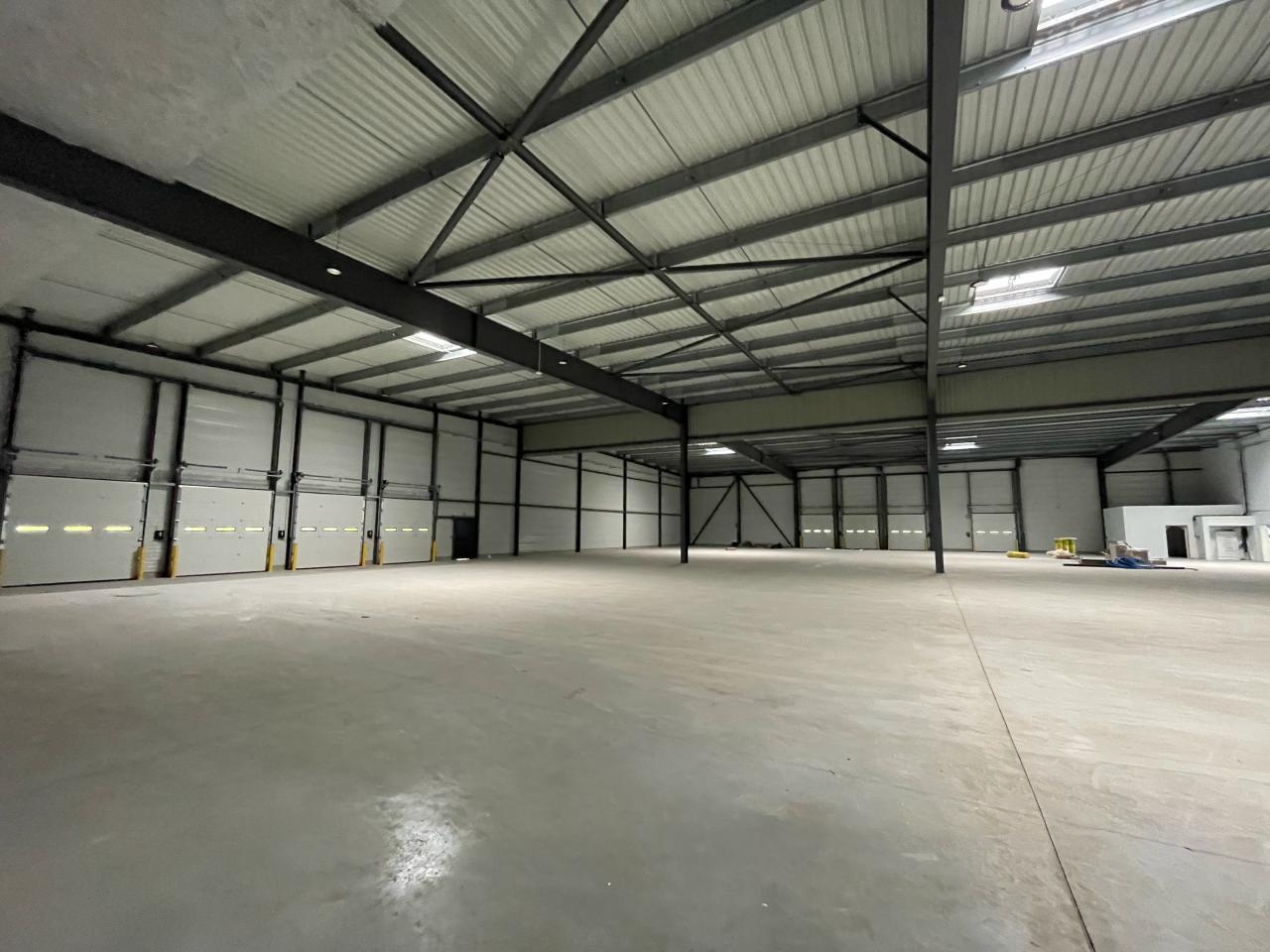 Local d'activité Toulouse 6750m² Location local d'activité Toulouse Haute-Garonne OLACT2425418 4
